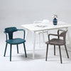 Kova Line Armrest Dining Chair