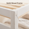Arbor Essence Double Deck Bed Frame - White Colour