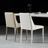 Astra Lounge Dining Chair