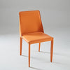 Astra Lounge Dining Chair