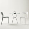 Ivy Frame Dining Chair