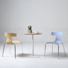 Atlas Curve Dining Chair