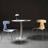 Atlas Curve Dining Chair