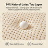 LuxeComfort Mattress