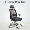 Nova Office Chair