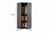Velmora Tempered Glass Hinge Door Customised Wardrobe Corner Body